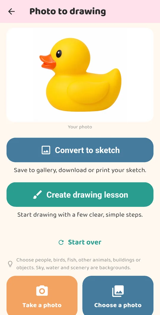 A rubber duck photo with Convert to sketch and Create drawing lesson buttons